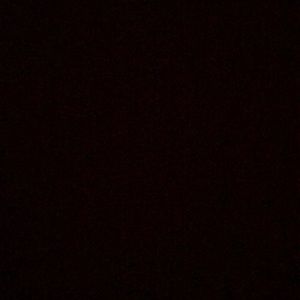 Meet your Posher, Diego